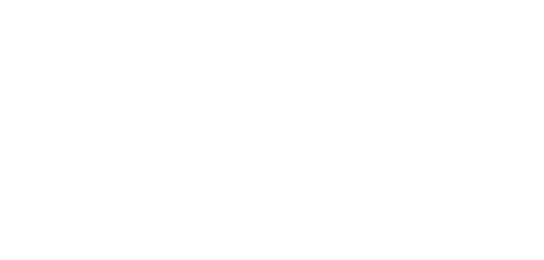 National Parking Control